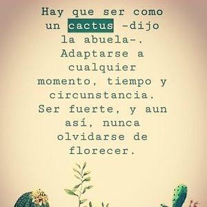 Meet your Posher, Liz